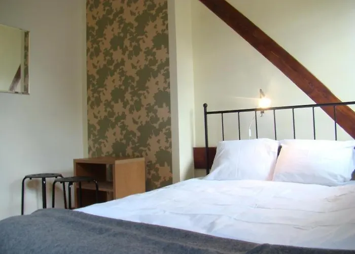 Hostel Baza 15